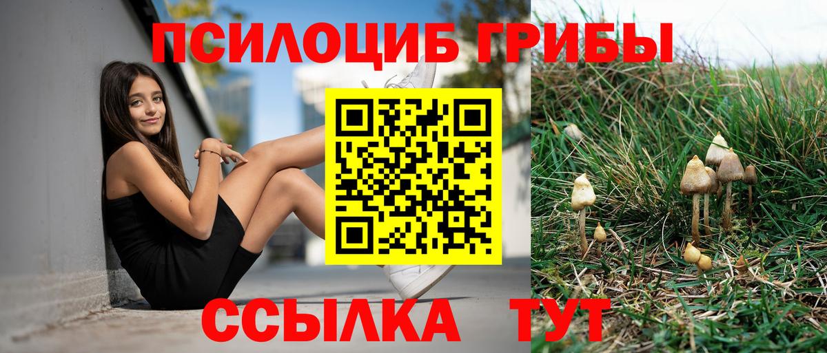 Галлюциногенные грибы мухоморы  Псилоцибиновые грибы MAGIC MUSHROOMS  Вход с VPN  Норильск 