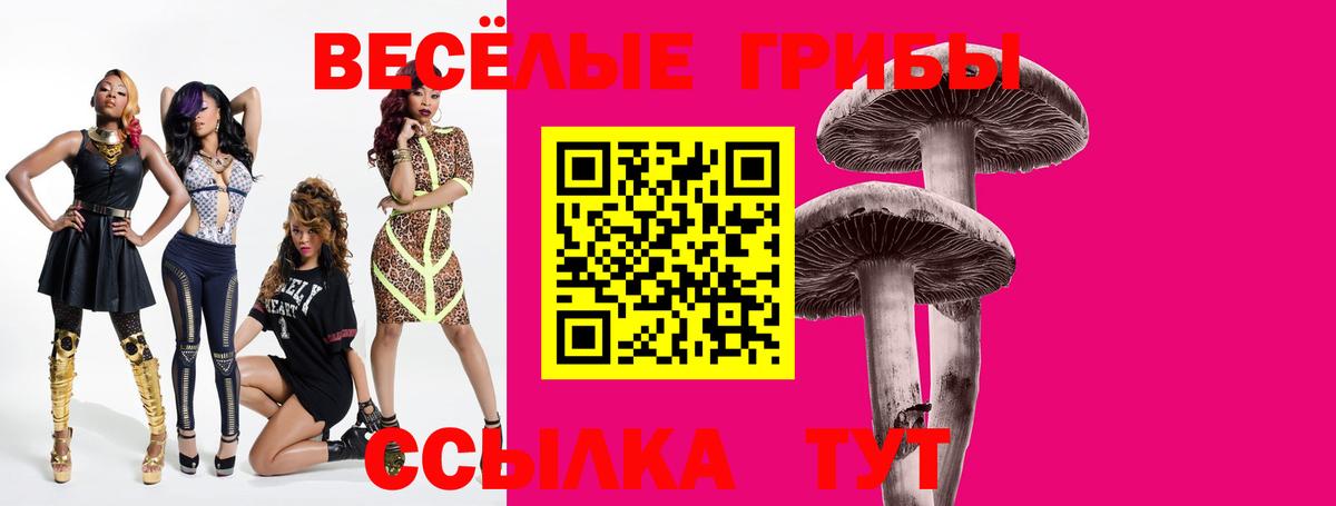 Галлюциногенные грибы прущие грибы Норильск